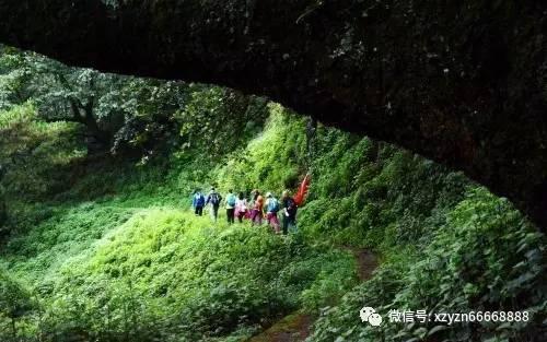 琳娜整理房间